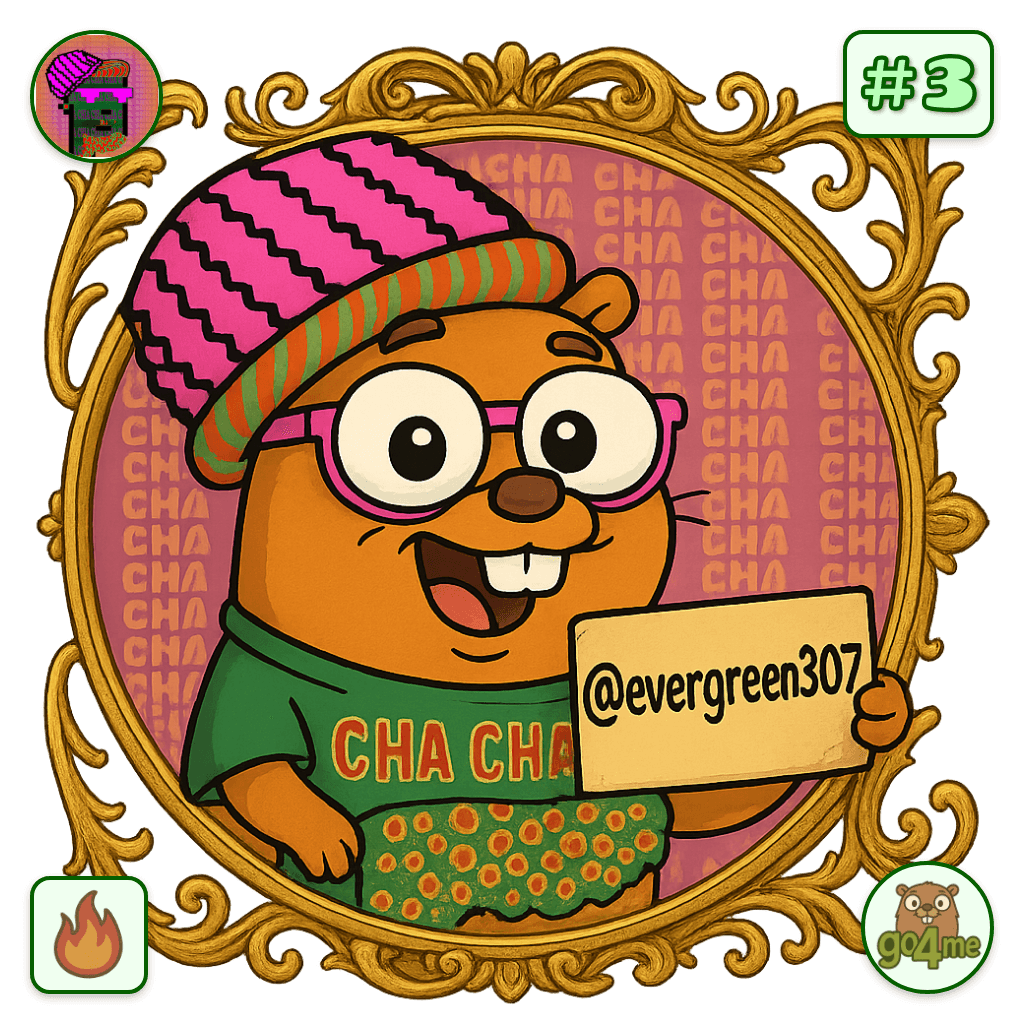evergreen307 avatar