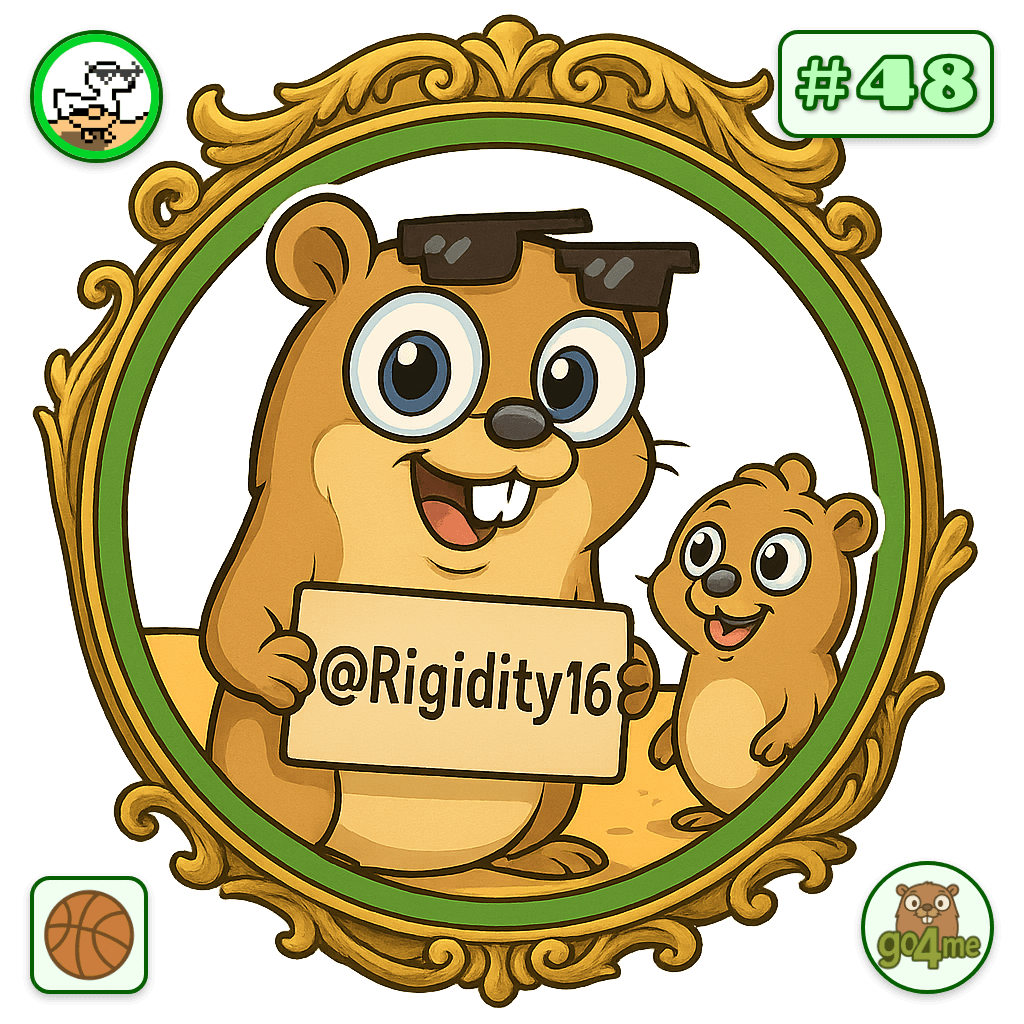 Rigidity16 avatar